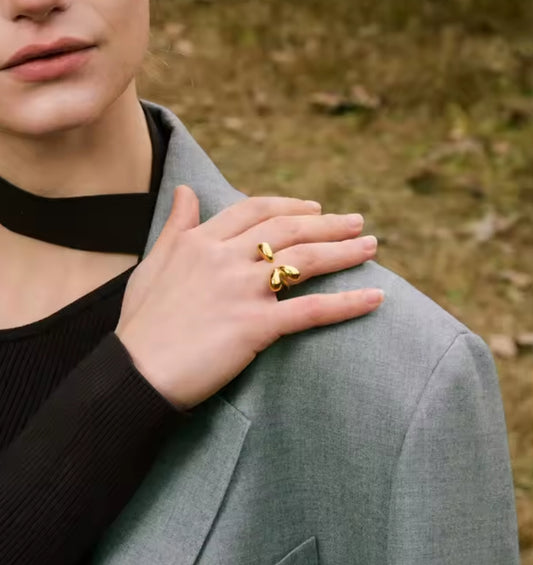 Vane ring