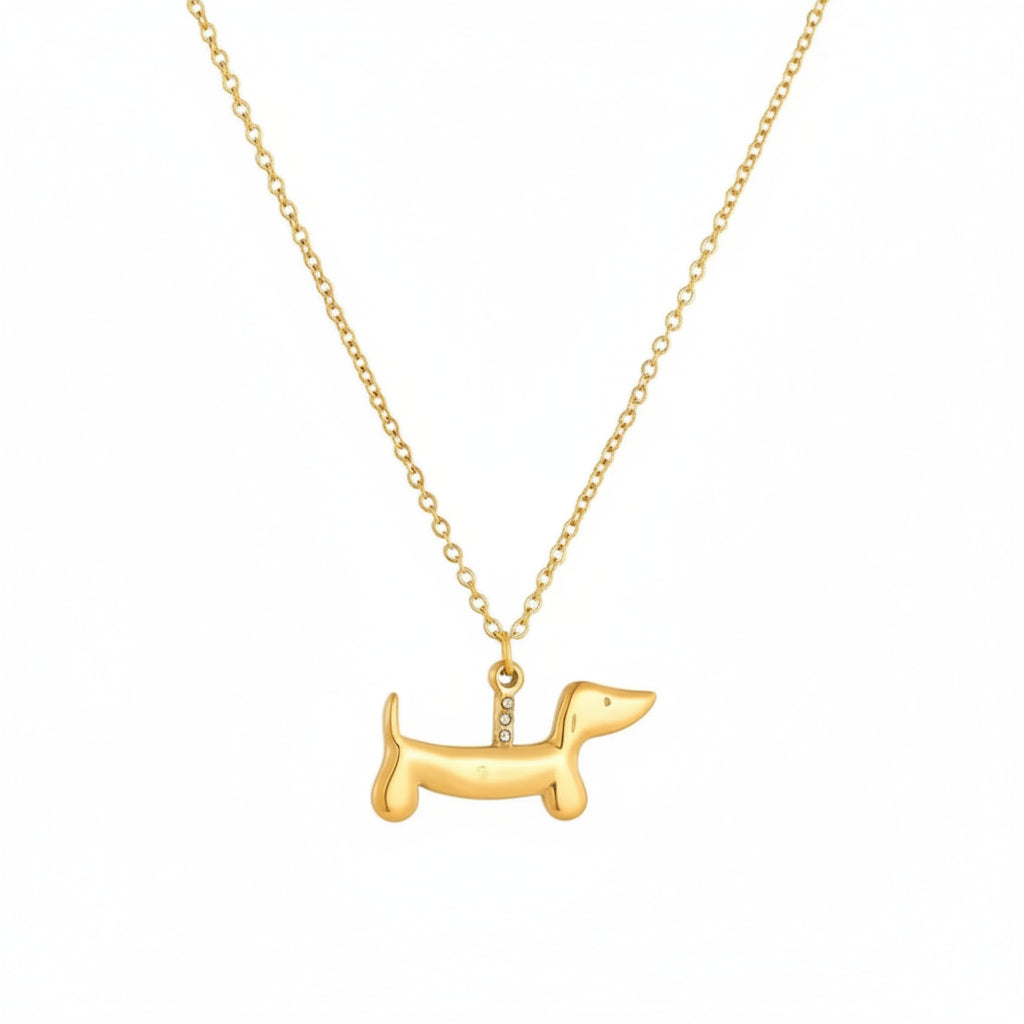Collar de mascota