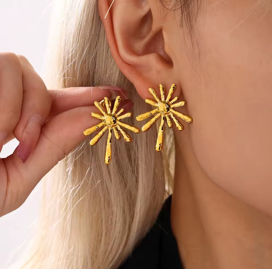 Aretes destellos