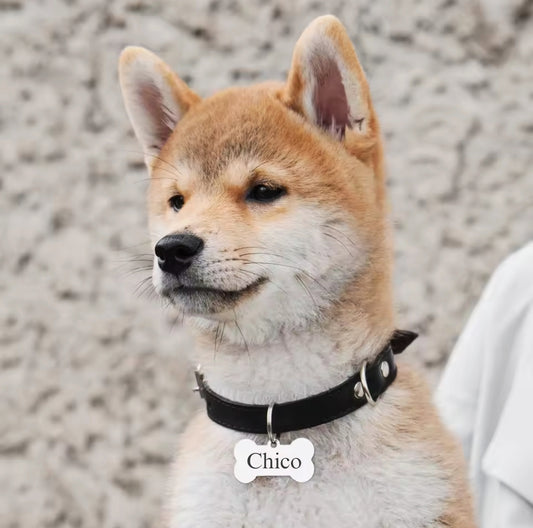 Placa personalizada para perrhijo